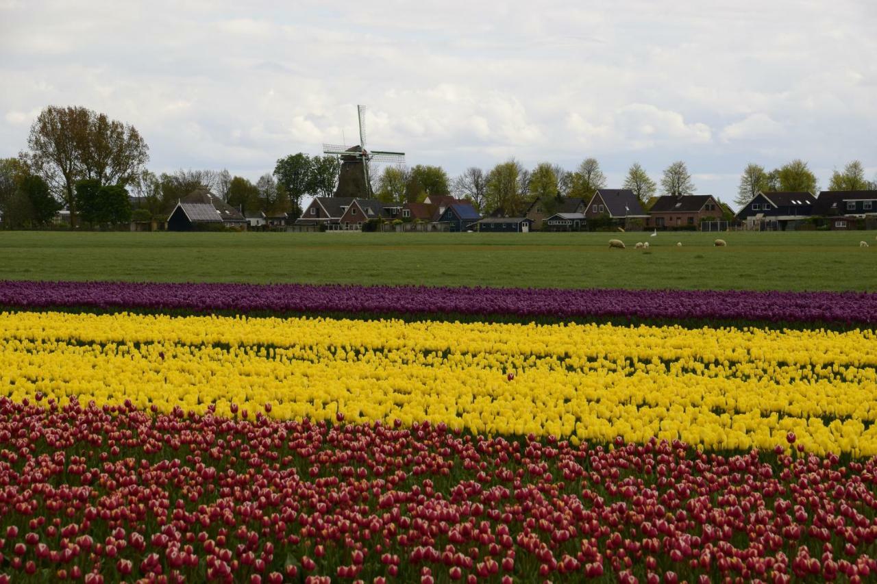 Vakantiehuis Het Uilennest Wijdenes Exterior foto